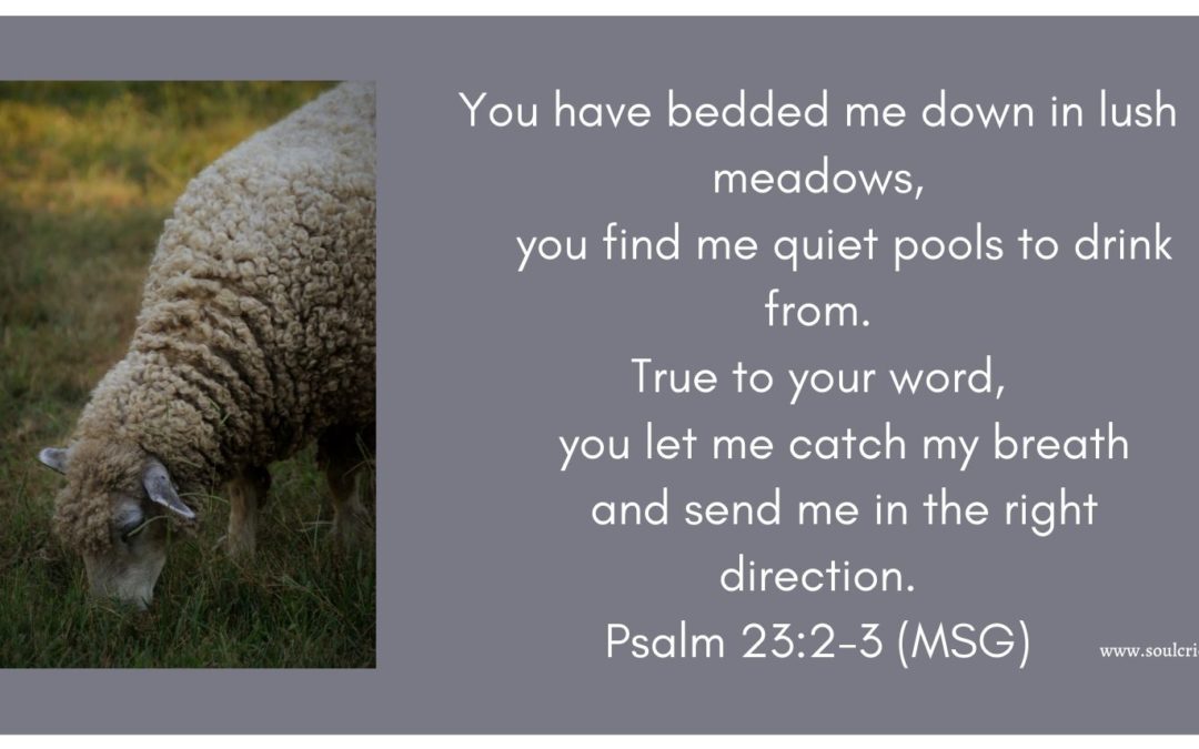 photo of a sheep grazing with the words: You have bedded me down in lush meadows, you find me quiet pools to drink from. True to your word, you let me catch my breath and send me in the right direction. Psalm 23:2-3 (MSG)