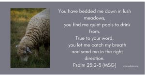 photo of a sheep grazing with the words: You have bedded me down in lush meadows, you find me quiet pools to drink from. True to your word, you let me catch my breath and send me in the right direction. Psalm 23:2-3 (MSG)