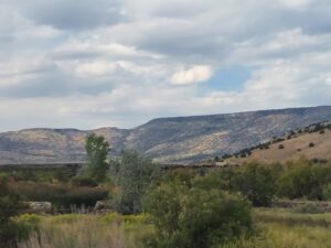 New Mexico mountain scene